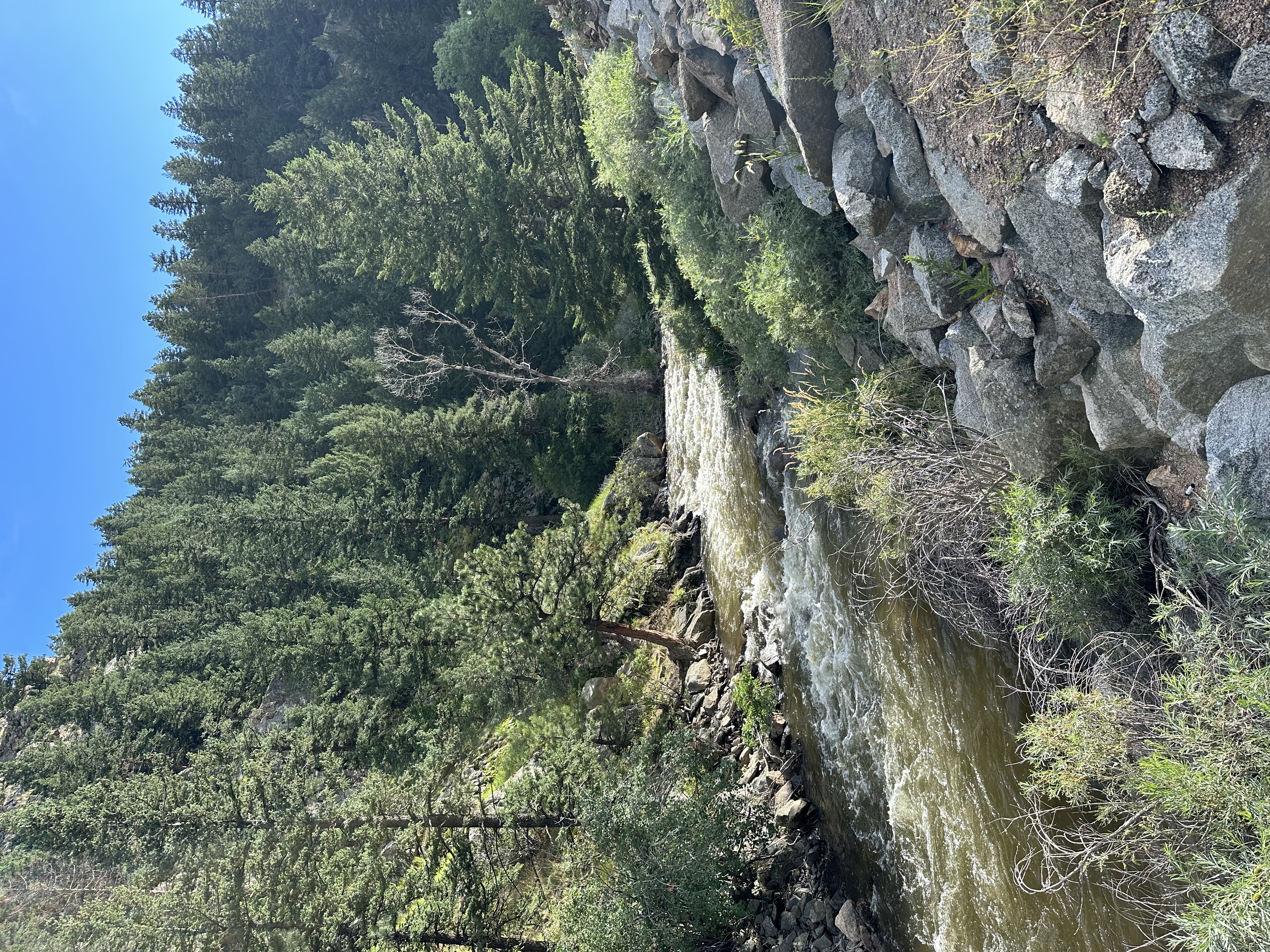 High flows on Boulder Creek